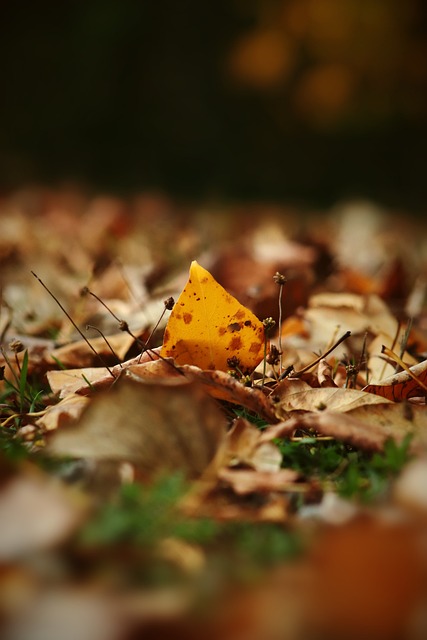 马尔基西奥退役六年仍保持高强度训练，体能状态十分出色