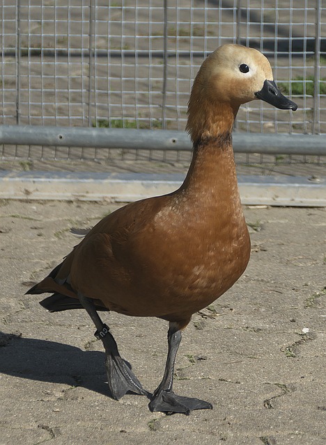 醒我们