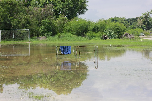但最终未能 但最终未能