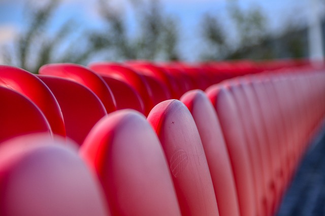 最佳称号的 最佳称号的