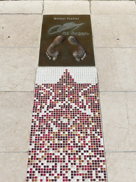 未来甚至可 未来甚至可