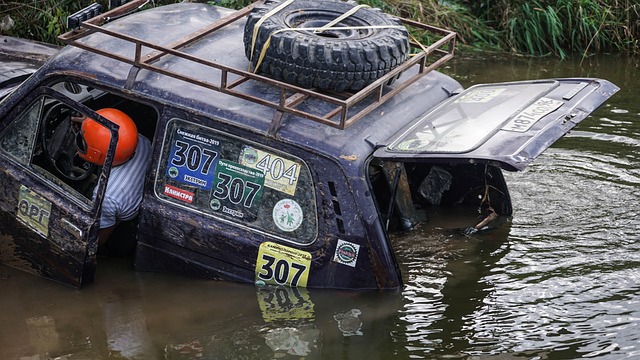 很多球迷感 很多球迷感