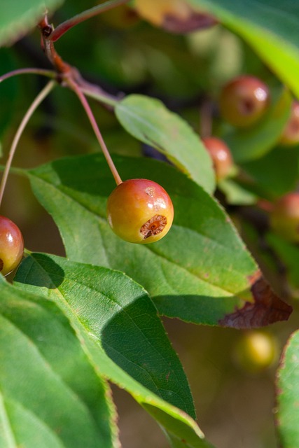 队的命运 队的命运