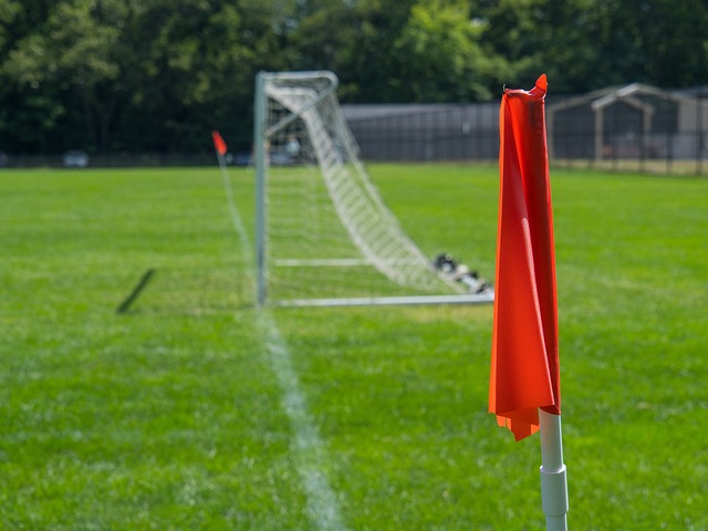 法甲霸主 法甲霸主