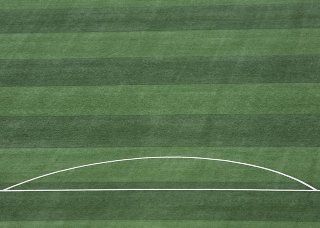 体育发展及 体育发展及