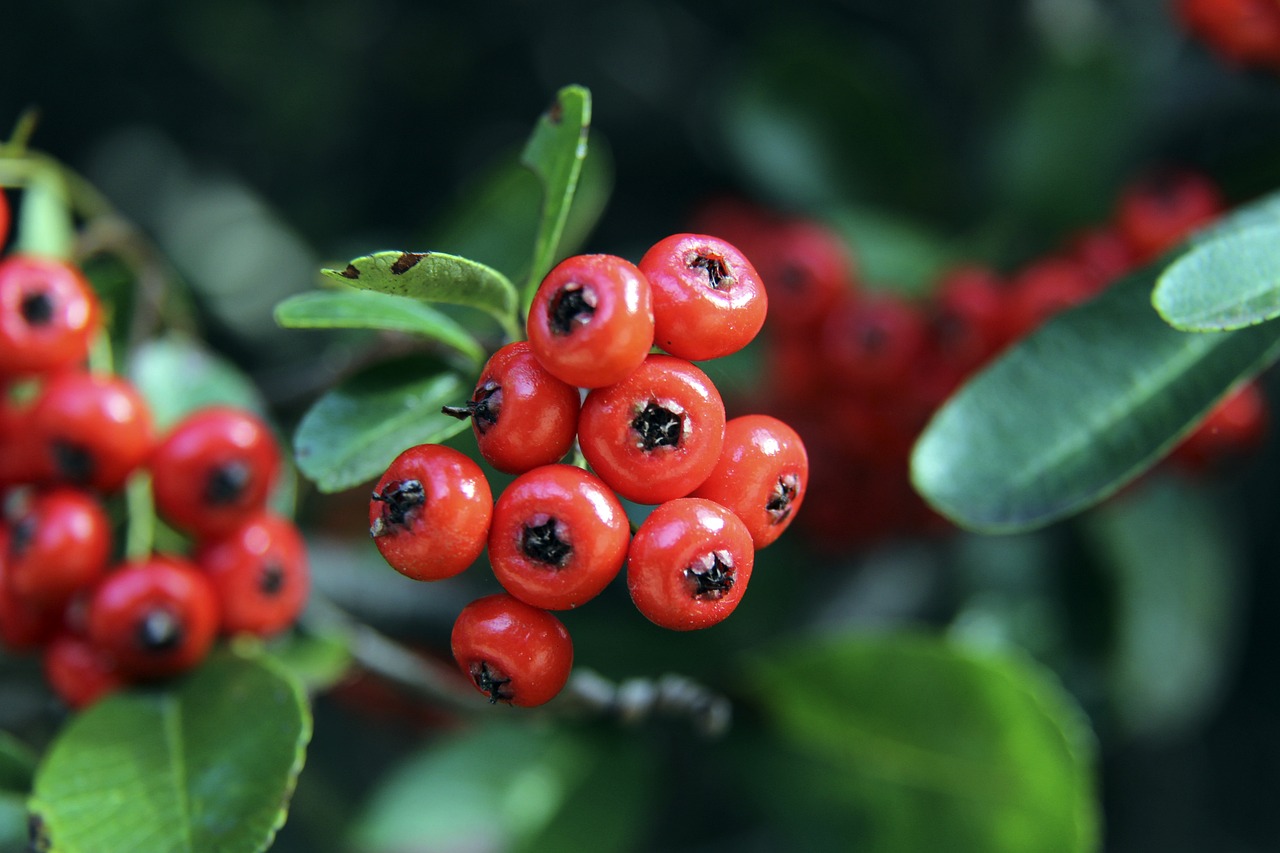 基帶來什麼 基帶來什麼