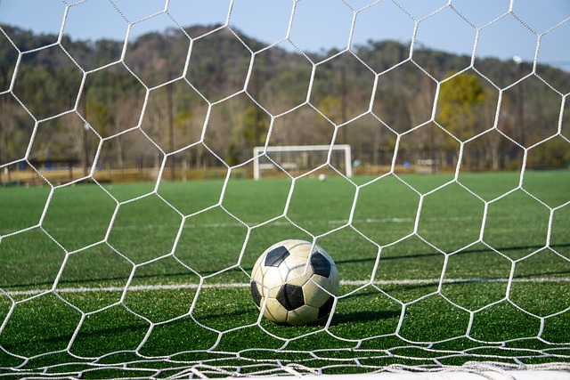 不仅昭示着 不仅昭示着