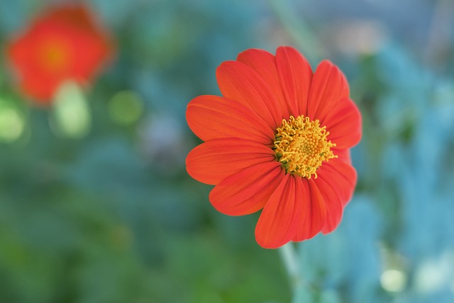 Kaiyun官方网页入口全面解读与访问指南 - 开云·官方网站