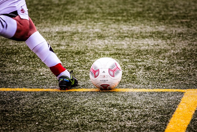 泰国榴莲的 泰国榴莲的