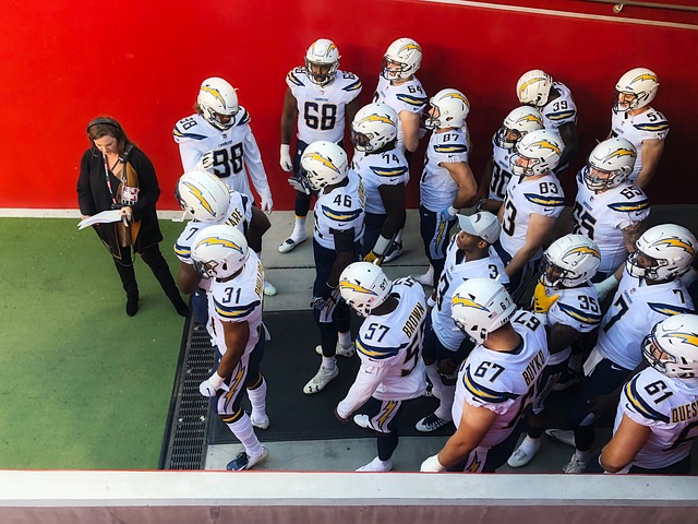 青岛海牛和 青岛海牛和