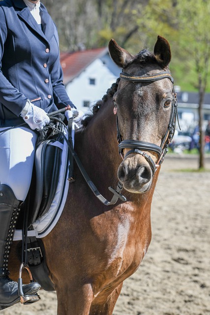 林孝埈在赛 林孝埈在赛