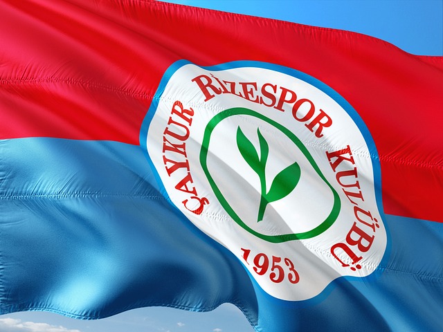 的核心球员 的核心球员