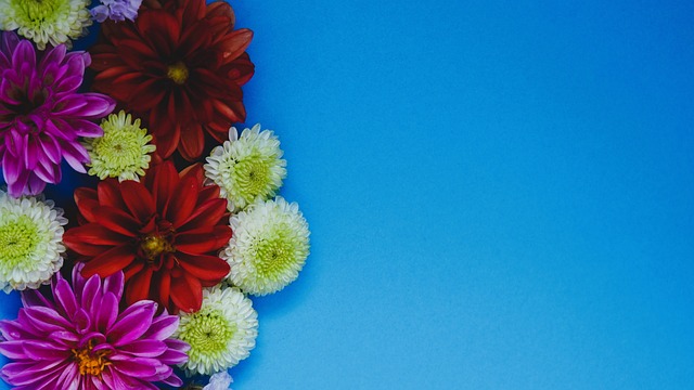 成为了足球 成为了足球