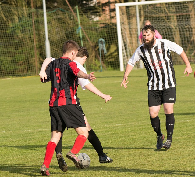 了多个互动 了多个互动