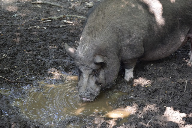 爱和精湛技 爱和精湛技